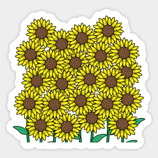 A bunch of sunflowers Sticker